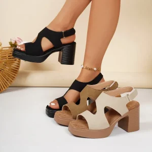 Elegant Large Size Womens Platform Sandals Flip Flops European African Exclusive Factory Direct
