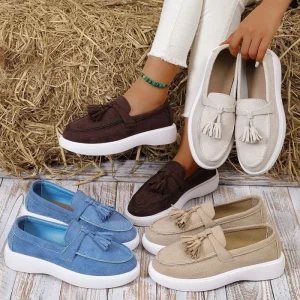 Fashionable Comfortable Casual Women’s Shoes Thick Sole Suede Surface Roman Style Retro Loafers Women’s Shoes