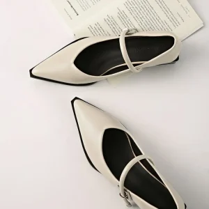 Fashionable New Pointed Thick Heel Single Button Mary Jane Women’s Shoes Paired with Skirts French Style Small Leather Shoes