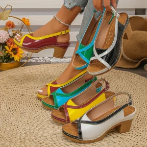 Large Size Chunky Heel Fish mouthed Sandals Women. Colorful European style Outerwear Fashion High Heel Chunky Heel Roman Sandals