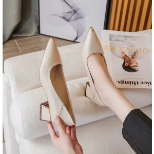 Professional Work Shoes for Women Pointed toe Single Shoes with Black Thick Heels