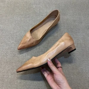 Spring Women’s Pointed Toe Low Block Heel Pumps Elegant Nude Professional Office Shoes Casual Slip on Dress Shoes