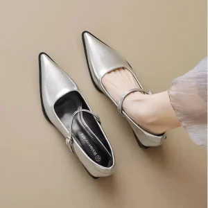 Spring and Autumn women’s Mary Jane pointed shoes Korean style Ladies’ casual high heels Work and party wear Large size 41-43