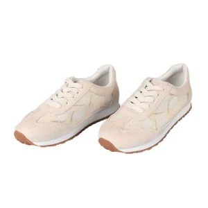 Women’s Classic Lace Up Casual Sneakers Soft and Comfortable Walking Style Shoes with Fashionable Lace Trend