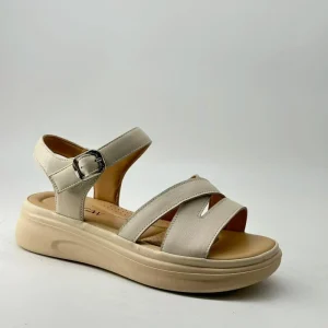 Women’s Comfort Wedge Sandals Factory Women Shoes