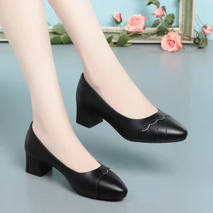Xuanhui New Women Shoes Comfortable Fancy Heels Pumps Pointed Toe Stylish Office Dress Shoes for Women and Ladies