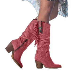 autumn and winter women’s boots thick heel pointed boots European and American style Su
